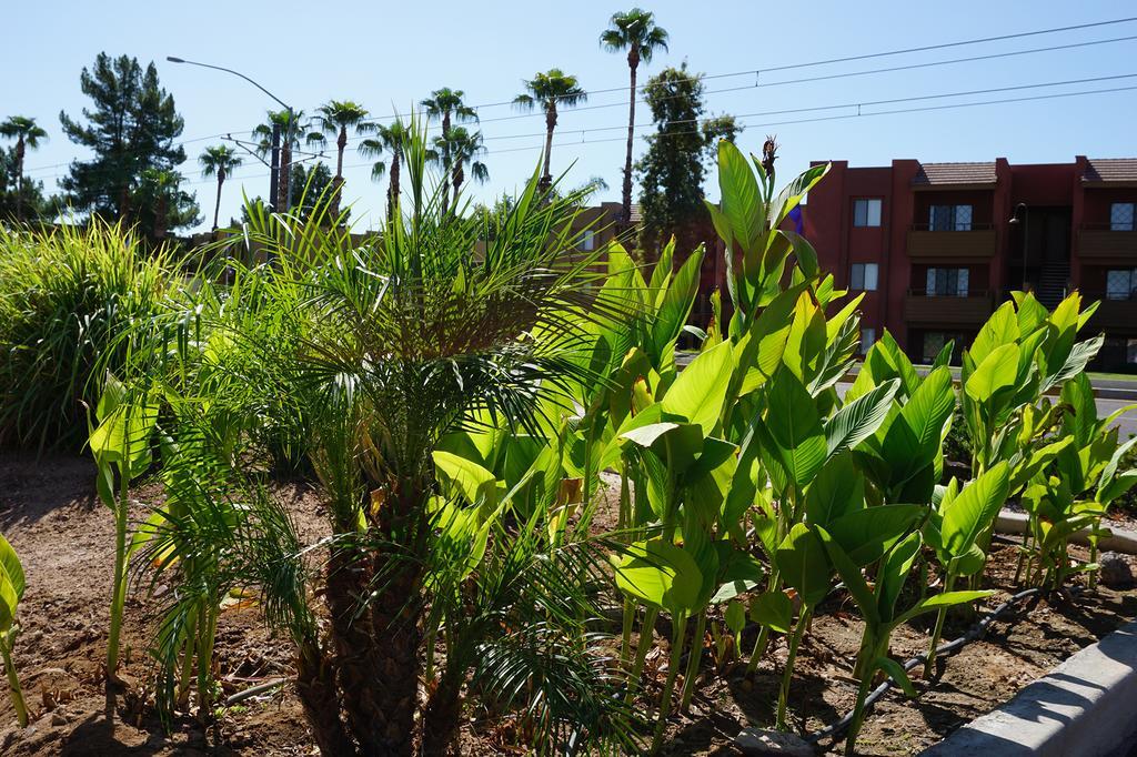 Mesa Oasis Inn & Motel Exterior foto